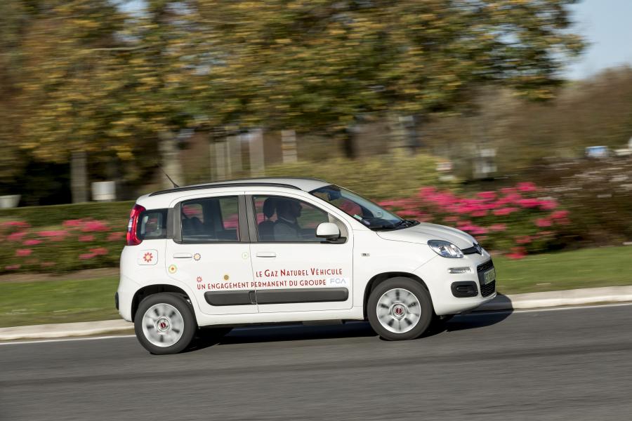  Fiat Panda Natural Power (319) 2012 года  (фото 9 из 38)